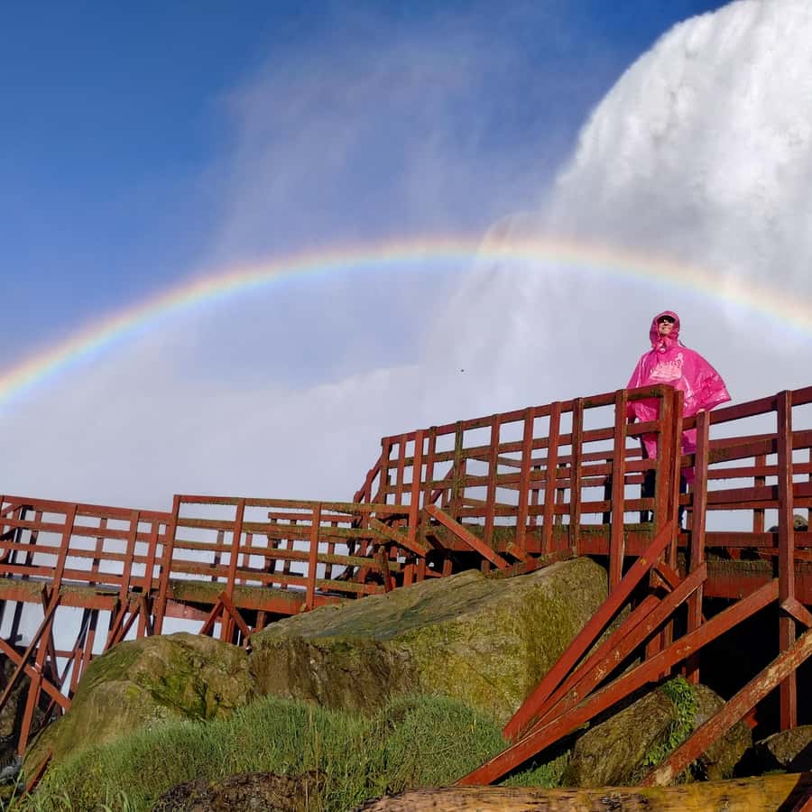 basement.skateshop 是位於雲林斗六的滑板店， 老闆是位金色長髮的帥氣女孩， 這塊滑板板身陪伴她發生很多事， (包含讓她摔斷腿) \u200b  要過年了， 她想要在這塊板身上做些裝飾， 掛在店裡最顯眼的地方， 並且露出中間的刮痕， 因為這些刮痕記錄著她的滑板生活。 \u200b 最喜歡做有 ..., image size:900x900