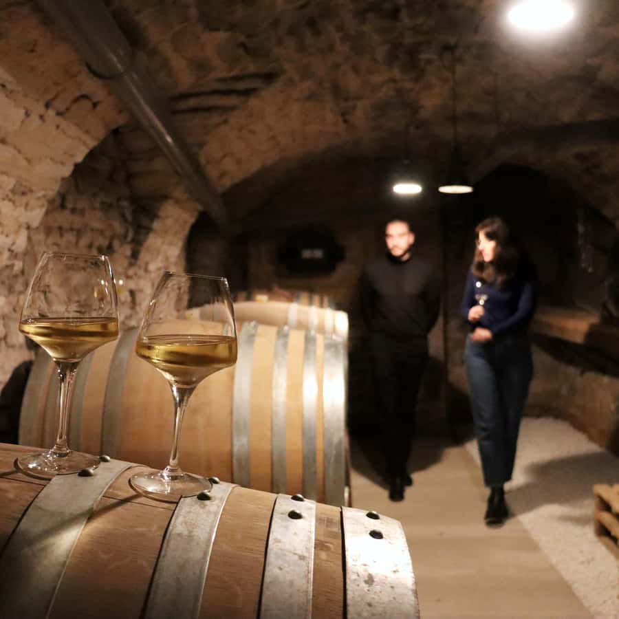Centro Histórico de Dijon : Descubrimiento Degustación Vino Borgoña |  GetYourGuide, image size:900x900