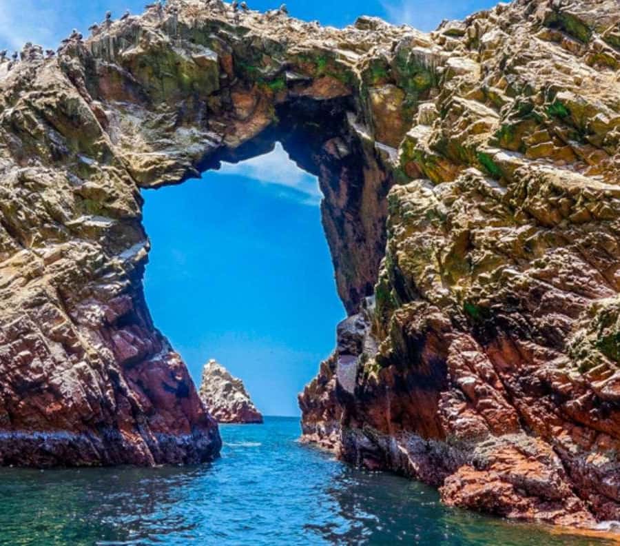 パラカス発：バジェスタス諸島ガイド付きボートツアー | GetYourGuide