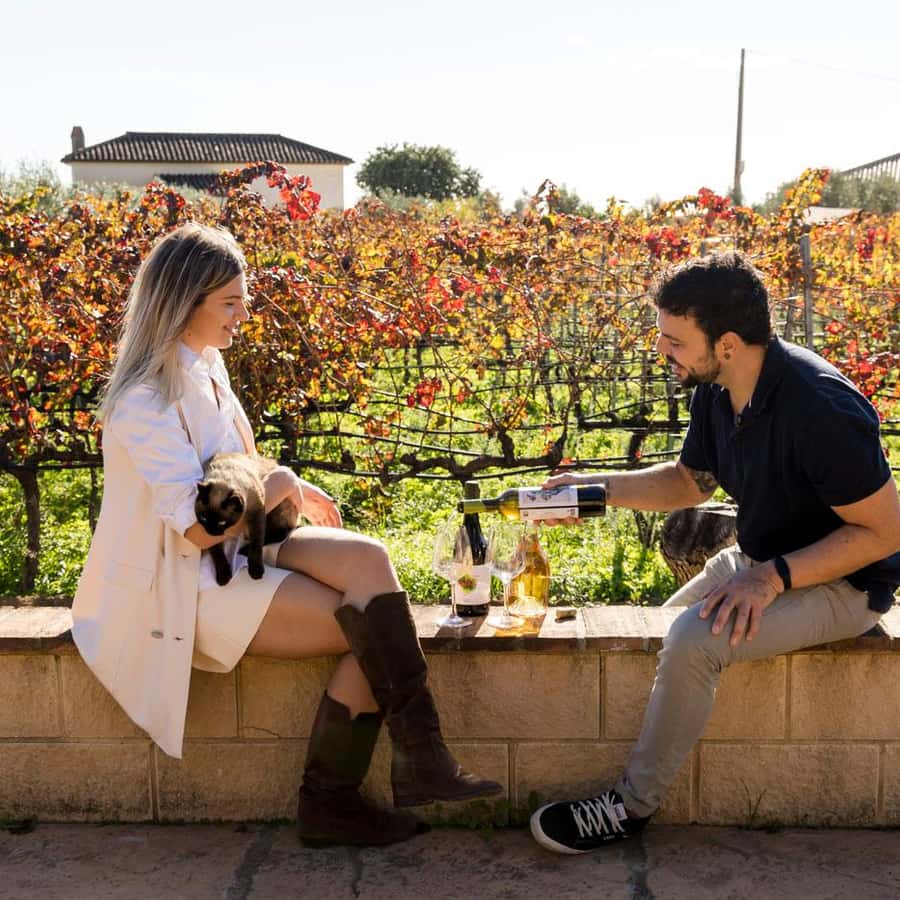 第210页Animation Magazine, image size:900x900