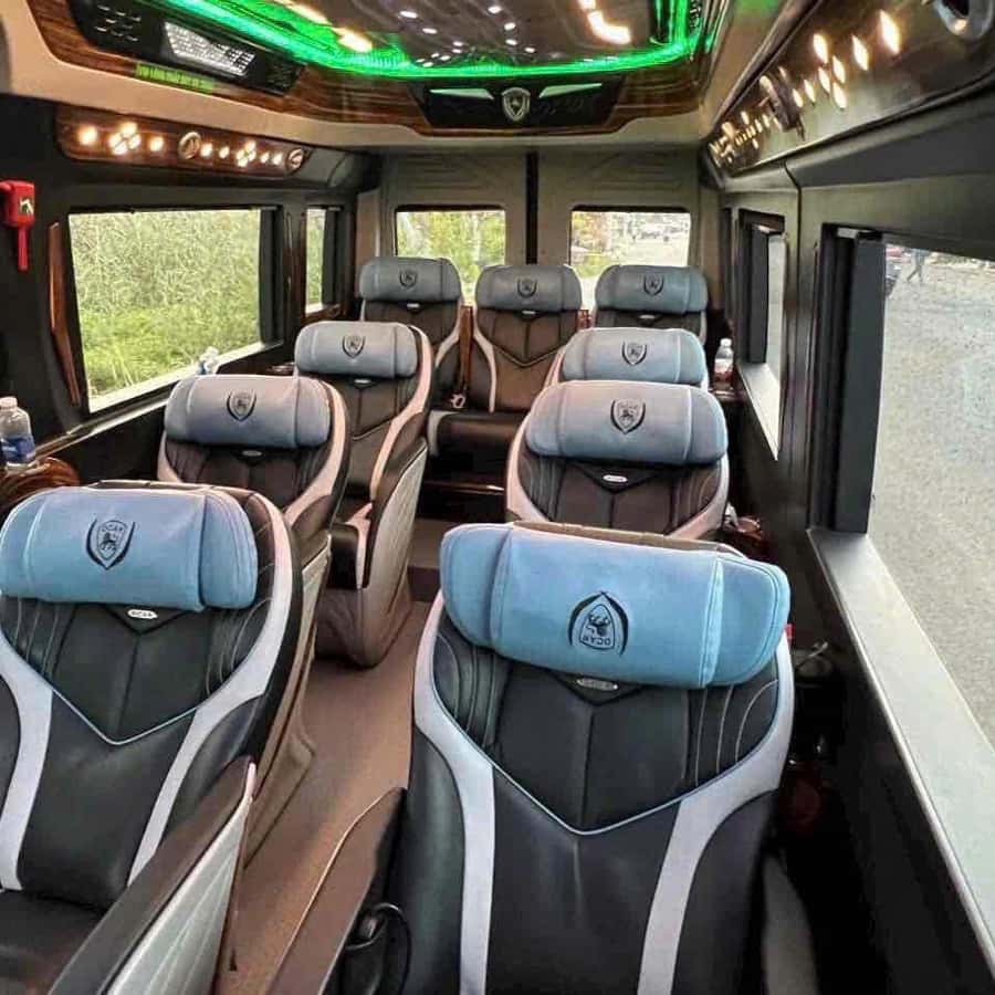 Ho Chi Minh: Mekong Delta Tour optional transfer Limousine | GetYourGuide