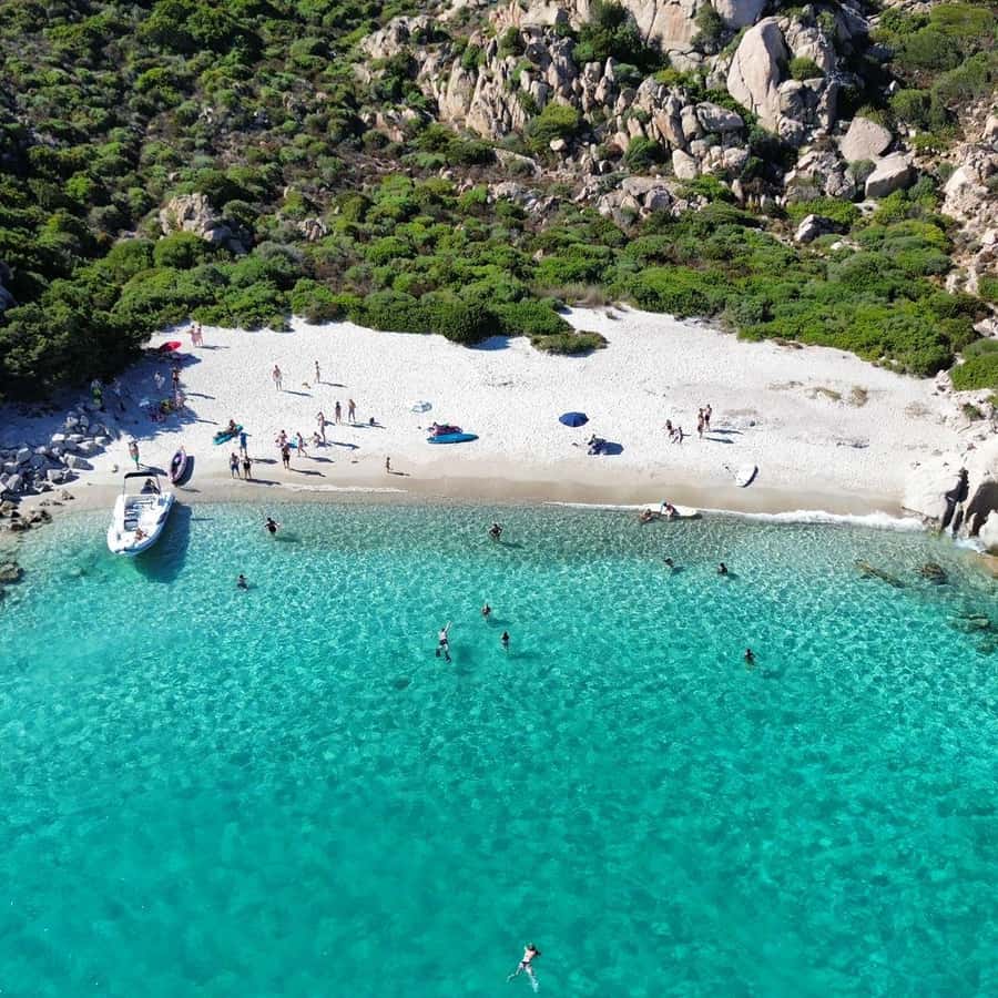 Borges Sleigh and Carriage Rides - Sleigh Rides at Sand Harbor State Park, image size:900x900