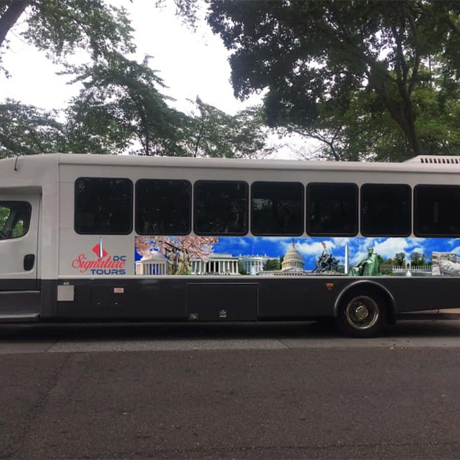 Scener - @jzmor, image size:900x900