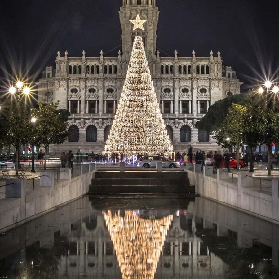 波尔图：葡萄牙圣诞之旅（含食物和饮料） | GetYourGuide