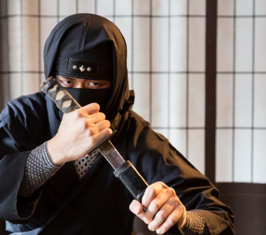 From Nagoya: Myths and Mystery of Ninja and the Tokaido Road