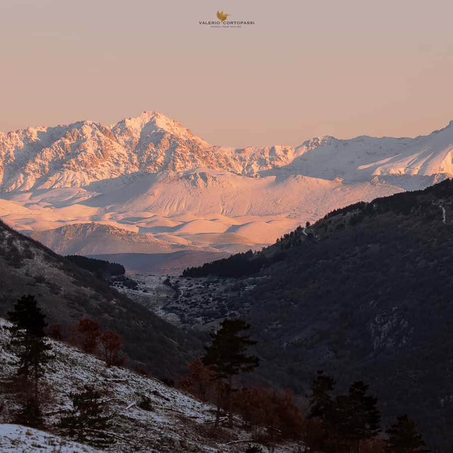 Parque Nacional de los Abruzos, Lacio y Molise: Senderismo y Vida  Silvestre. | GetYourGuide, image size:900x900