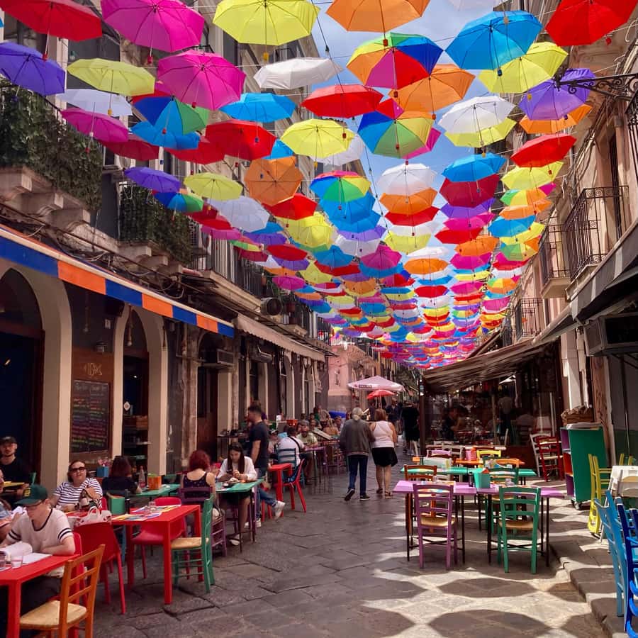 22f9532800827d89d1b69f00659e1d