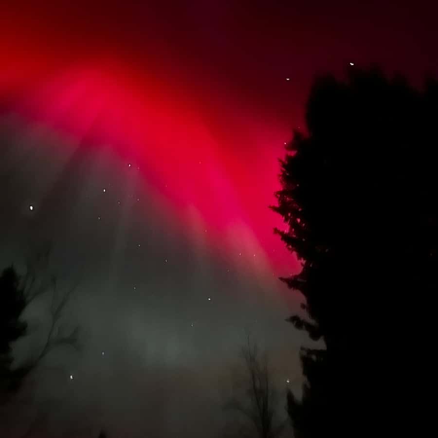 ケミ／オウル：オーロラ鑑賞スノーモービルツアー（プライベート） | GetYourGuide