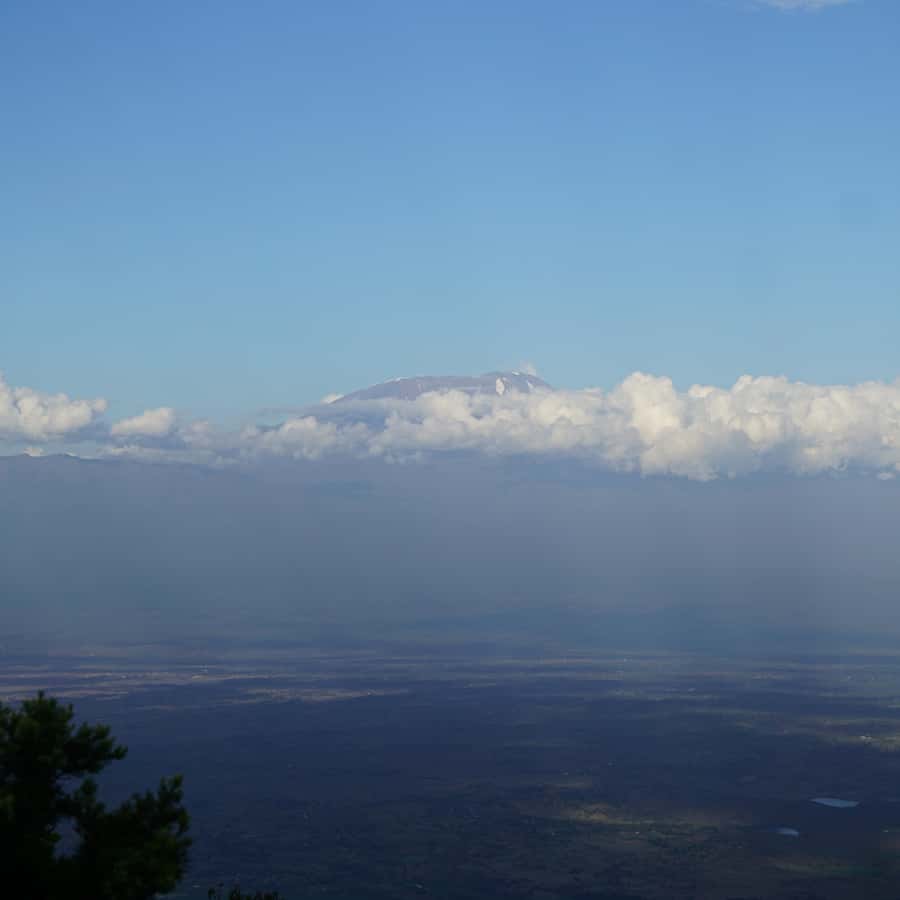 Dimitra Newsletter April 2019 – Issue #30, image size:900x900