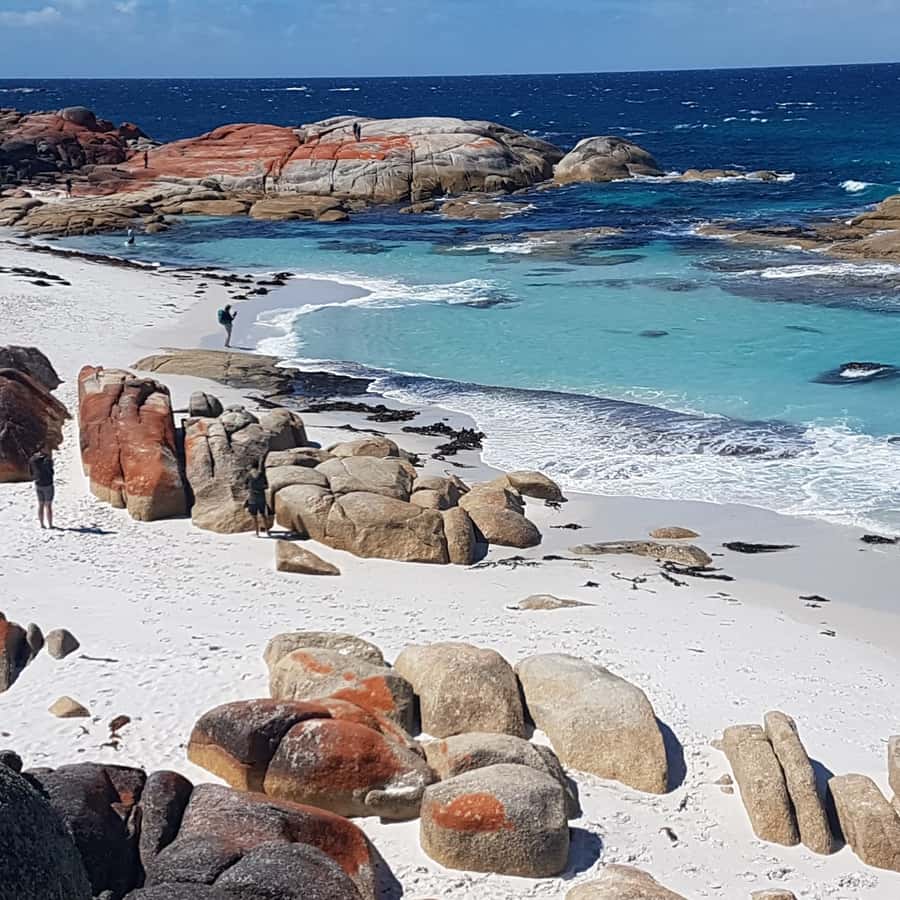 Hobart: 4 Day Wild Tasmania Tour | GetYourGuide