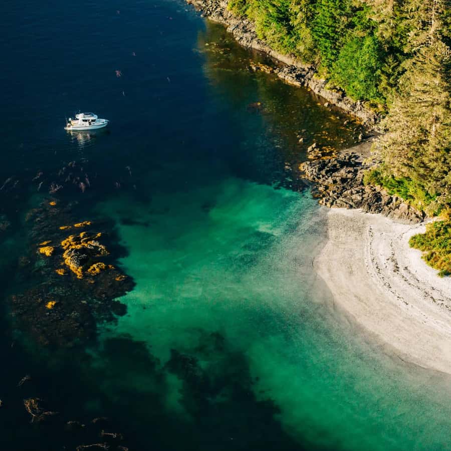 Naturfotograf Tor Egil Kvalnes: Lys og skygge i Nordlands høstnatur, image size:900x900