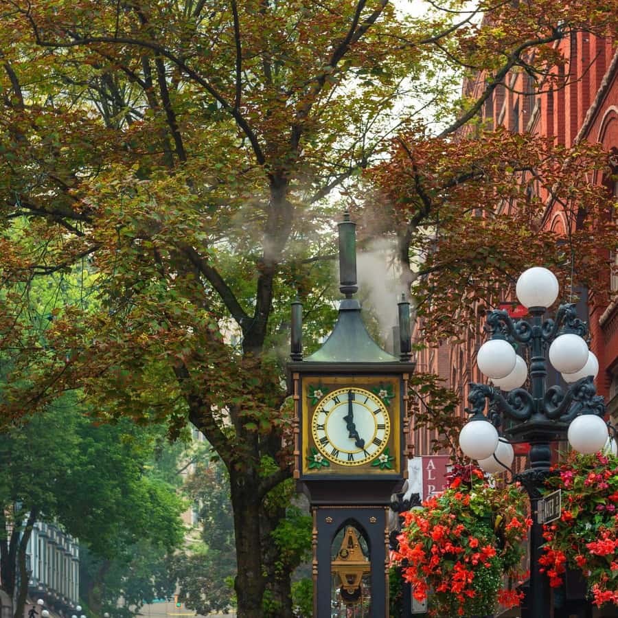 温哥华Oakridge 犹太历史私人徒步之旅| GetYourGuide