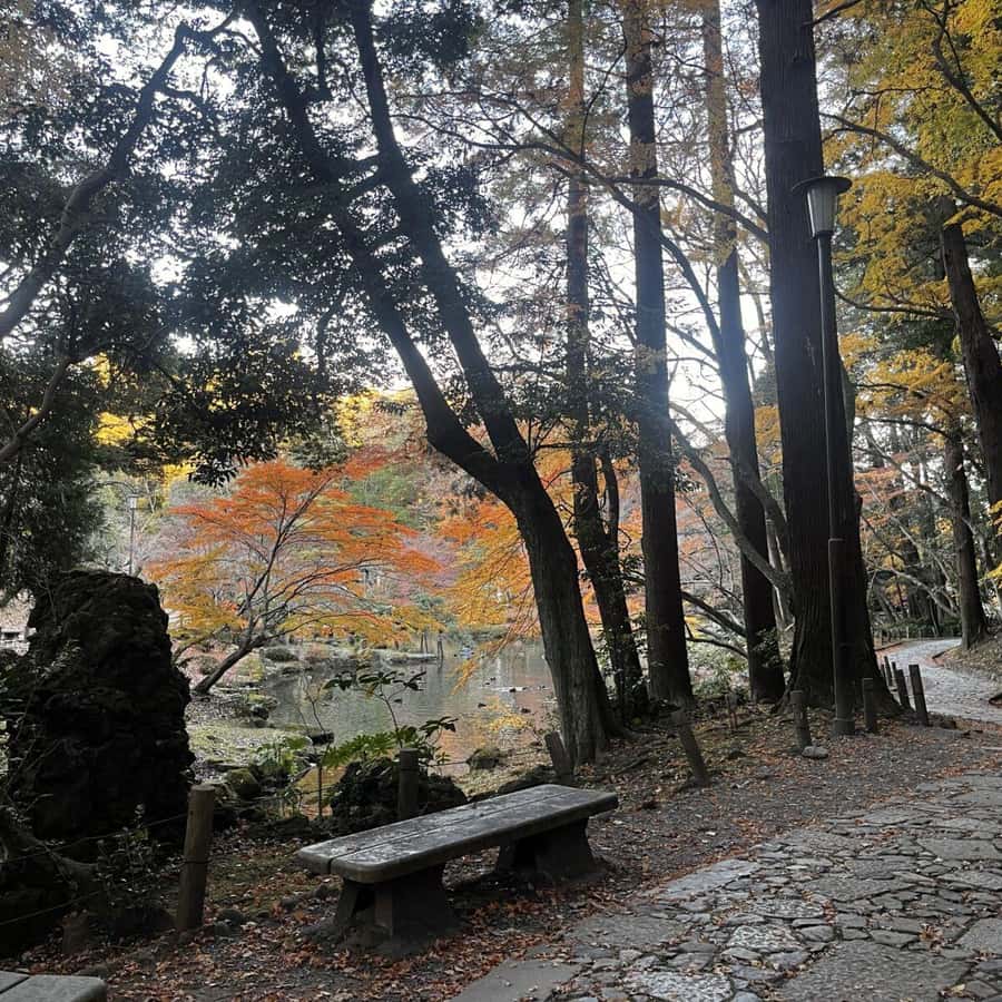 From Narita: Narita and Sawara Historic Tour w/ Boat Cruise