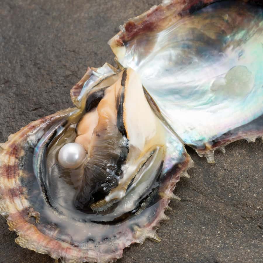 2cce0f532a0d50563bd12e9ee6a1d6