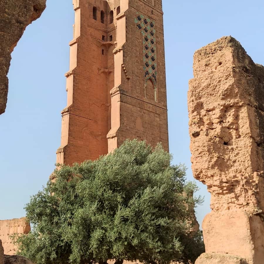 Tlemcen - Oran: The Best of Western Algeria in a Day | GetYourGuide, image size:900x900