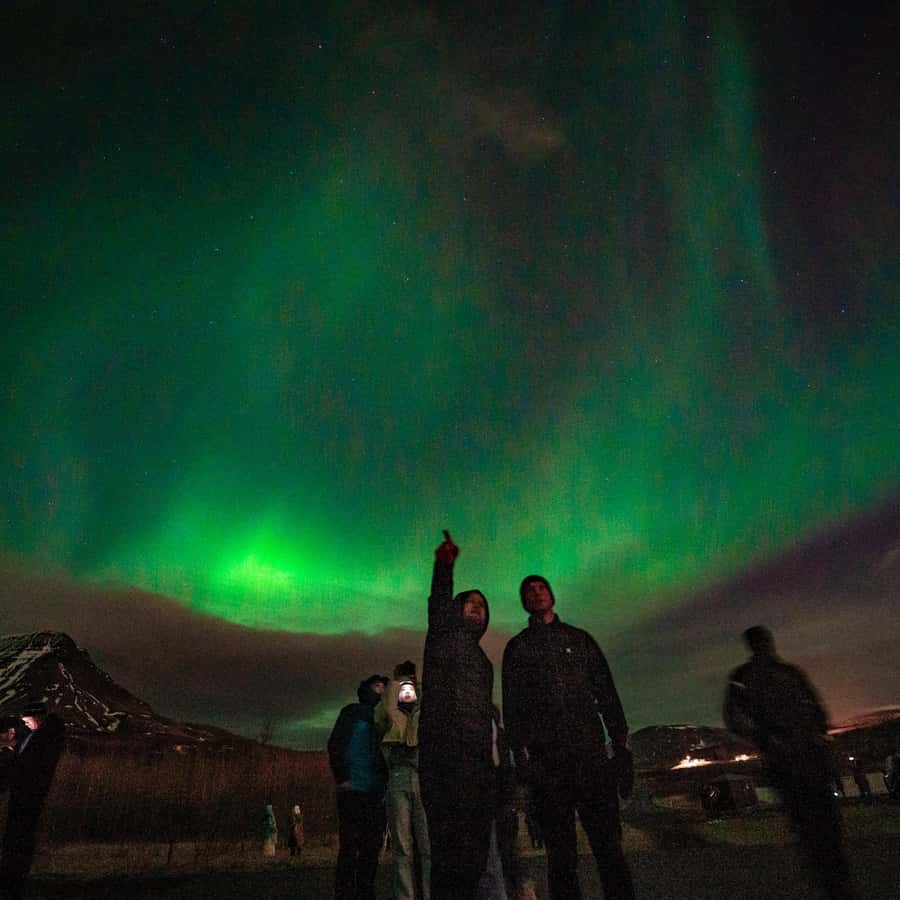 雷克雅未克：北极光之旅（含免费拍照和热巧克力） | GetYourGuide, image size:900x900