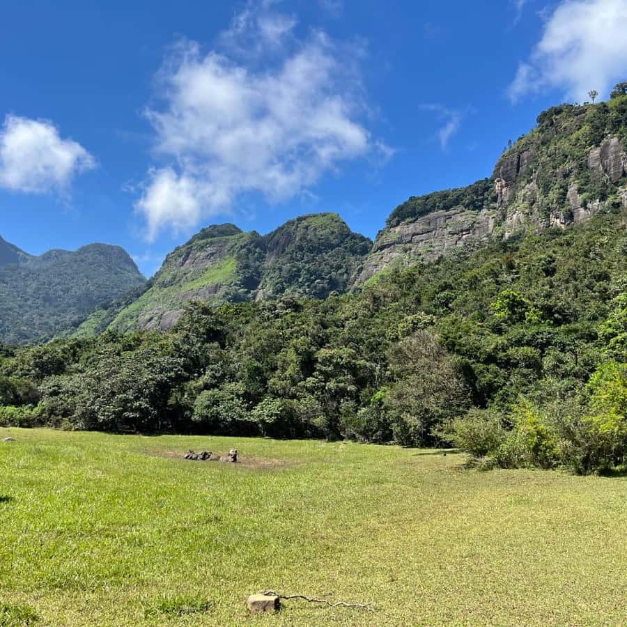 콜롬보 출발 마스켈리야 \u0026 폭포 당일 여행 | GetYourGuide, image size:900x900