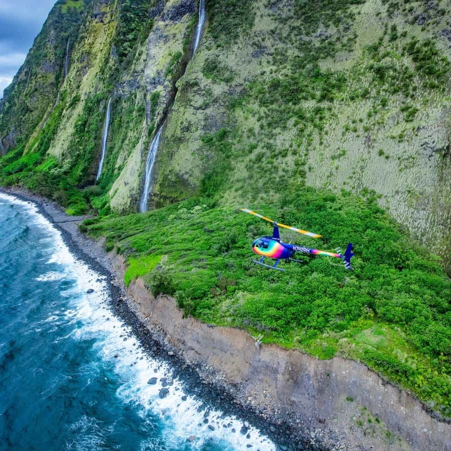 Page 72 - Evenementen in Hawaii in February 2026, image size:900x900