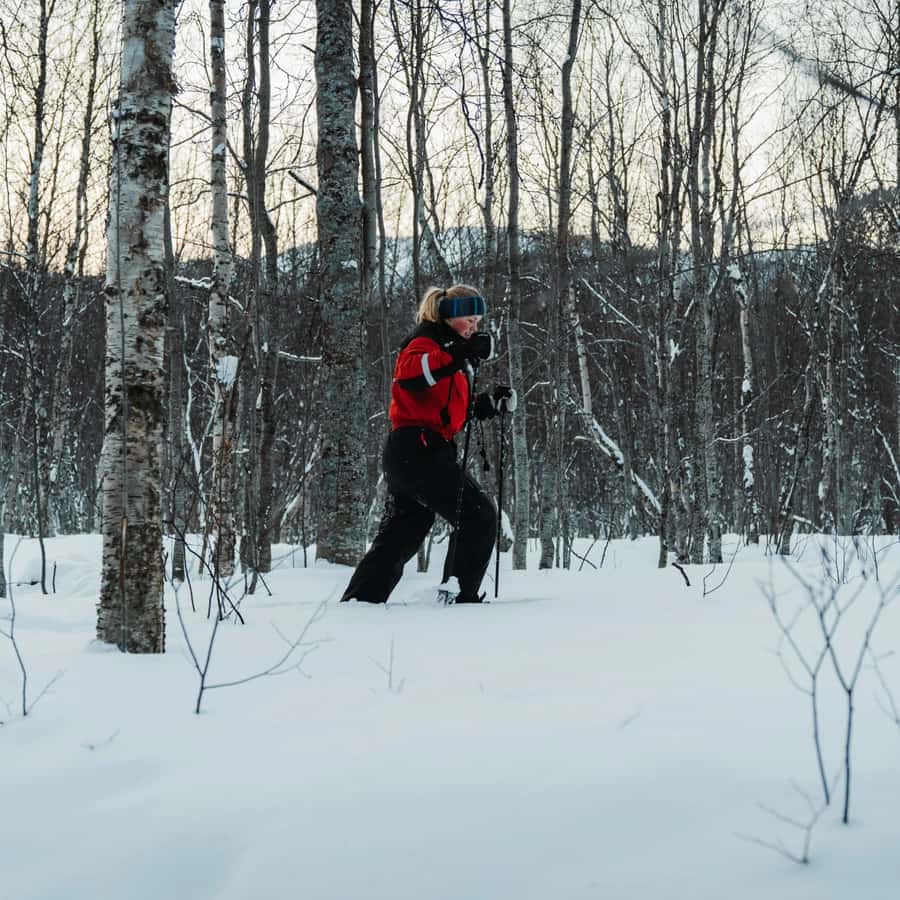 The Project Gutenberg eBook of Præterita, by John Ruskin., image size:900x900