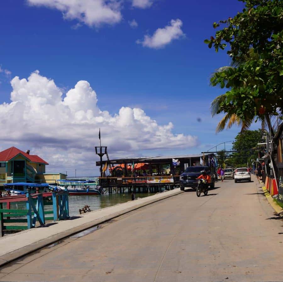 罗阿坦快速无压力之旅| GetYourGuide, image size:900x899