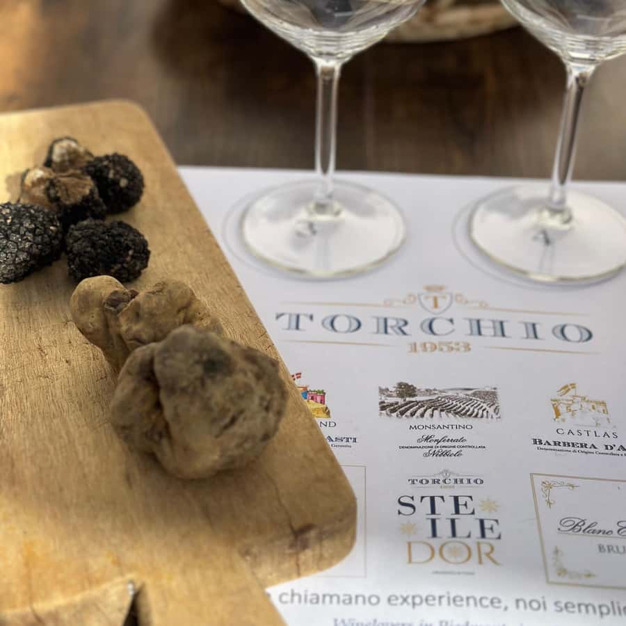 몬페라토와 랑게 사이의 와인 시음 | GetYourGuide