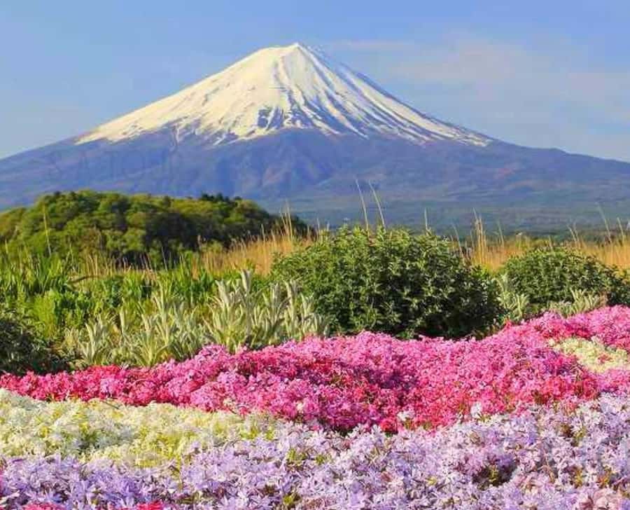 Tokyo To Mount FUJI Day Trip With English guide | GetYourGuide