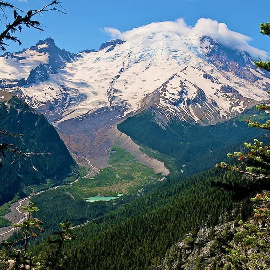 Seattle: Tour em pequenos grupos com tudo incluído no Mount Rainier Park |  GetYourGuide, image size:900x900