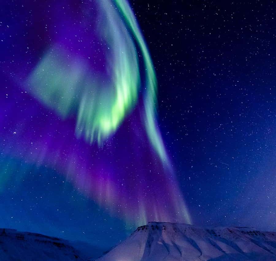 （solページ）オーロラ スヴァールバルオーロラ撮影ツアー | GetYourGuide