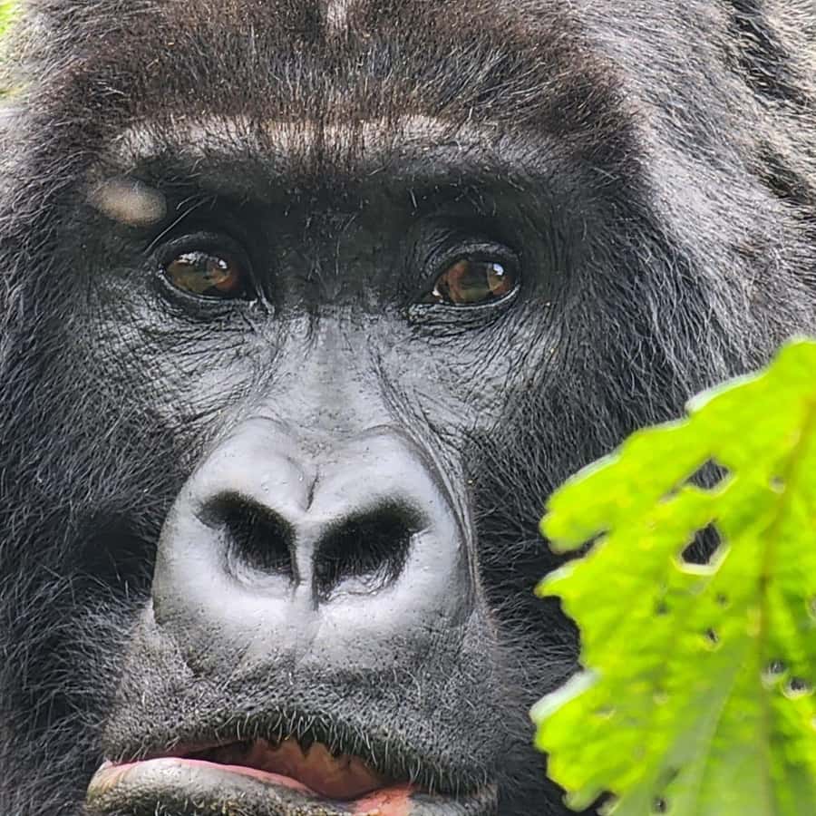 42845dddc8d7e76bcf439a2f7638e9