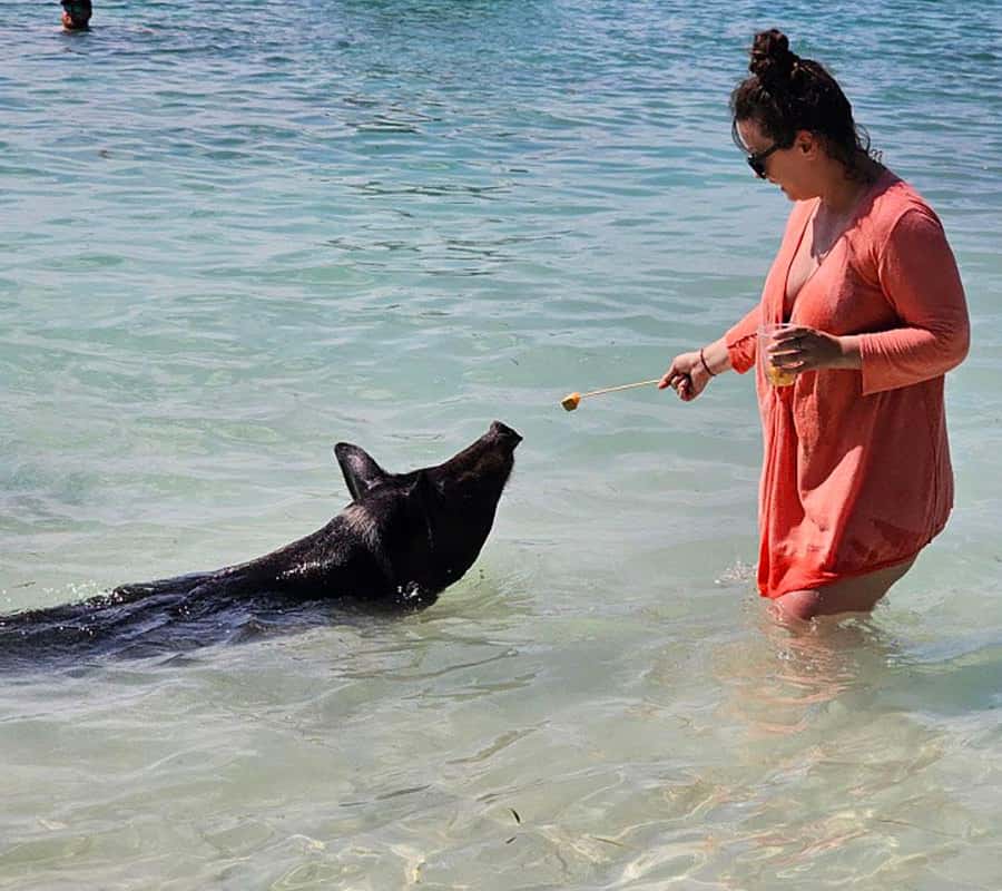 Nassau: Trip to Pig Beach and 3 Snorkeling Stops with Lunch