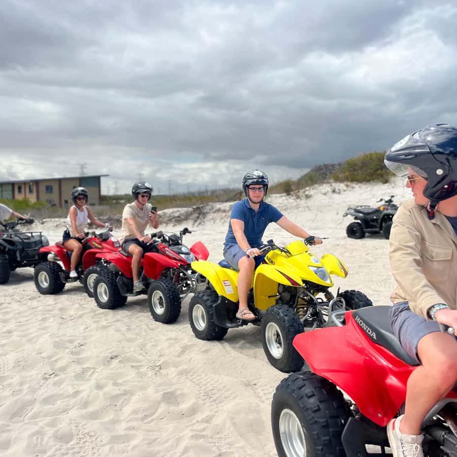 케이프타운: 모래 언덕 ATV 쿼드 바이크 투어 | GetYourGuide, image size:900x900