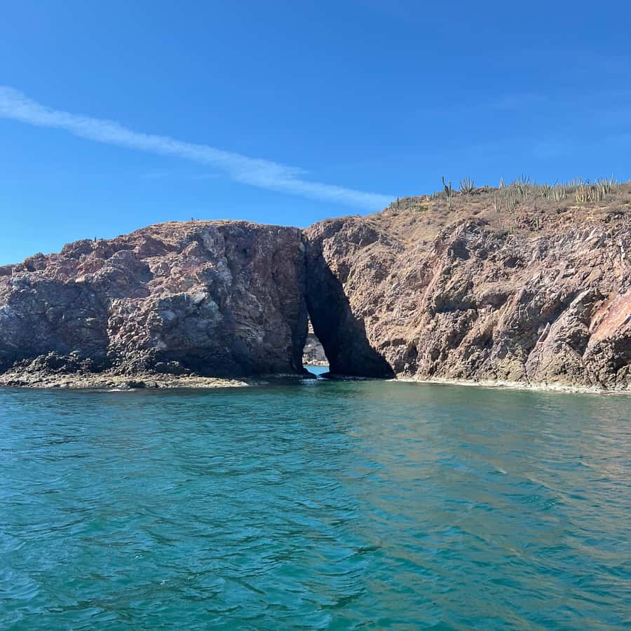 索诺拉：游览海滩和圣卡洛斯观景台| GetYourGuide