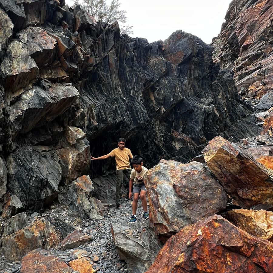 盐湖城最佳峡谷私人一日游| GetYourGuide