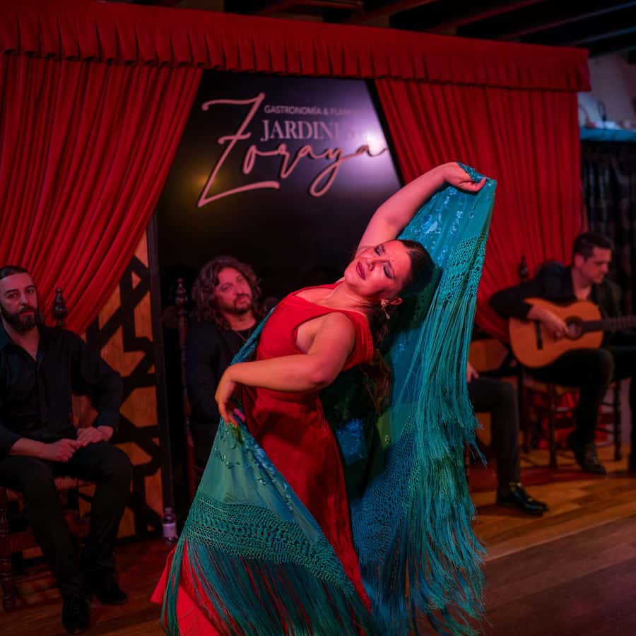 グラナダ：アルバイシンでのフラメンコショー - ジャーディンズ・デ