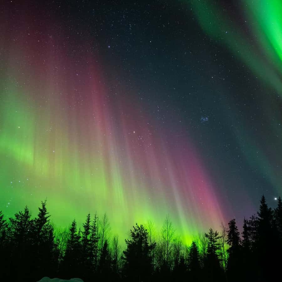 Överkalix - ラプランド : オーロラ観賞スノーモービルツアー