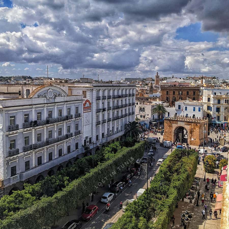 チュニス：象徴的なメディナと市内中心部の文化ツアー | GetYourGuide