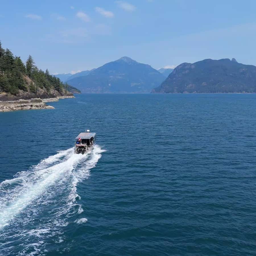 Vancouver: Snorkel Focas Kayak Tour panorámico en barco | GetYourGuide, image size:900x900