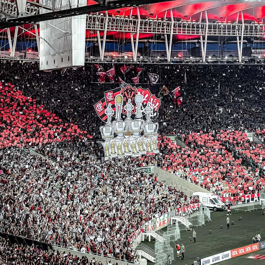 里约热内卢：历史悠久的体育场足球比赛导览之旅| GetYourGuide