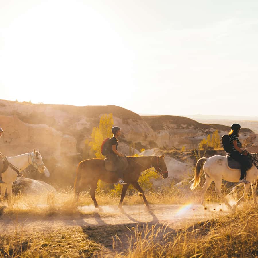 カッパドキア：夕日または昼間の乗馬ツアー | GetYourGuide