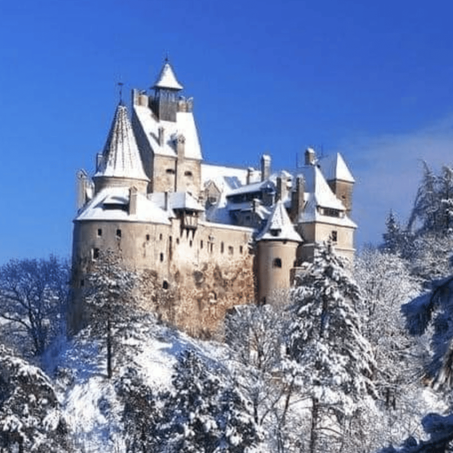 布拉索夫：布兰、派勒斯和坎塔库齐诺城堡一日游| GetYourGuide