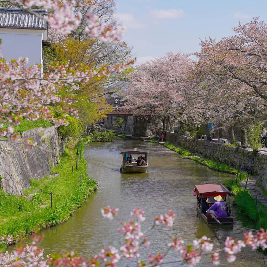 從名古屋出發：彥根的城堡和運河以及近江八幡| GetYourGuide