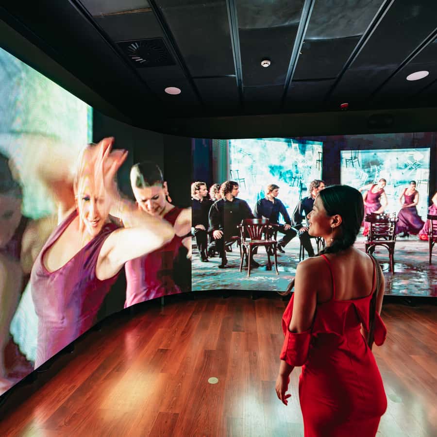 セビリアプーロ・フラメンコ・ショー（オプショナル美術館入場券付き