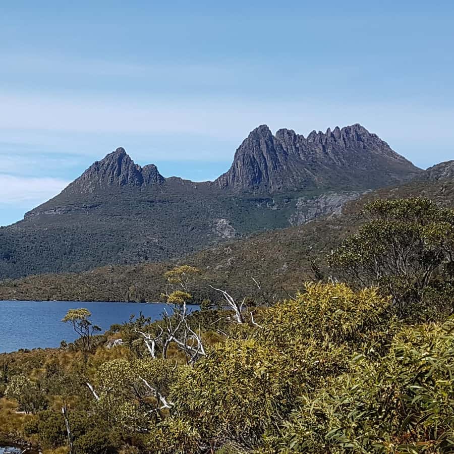 Hobart: 4 Day Wild Tasmania Tour | GetYourGuide