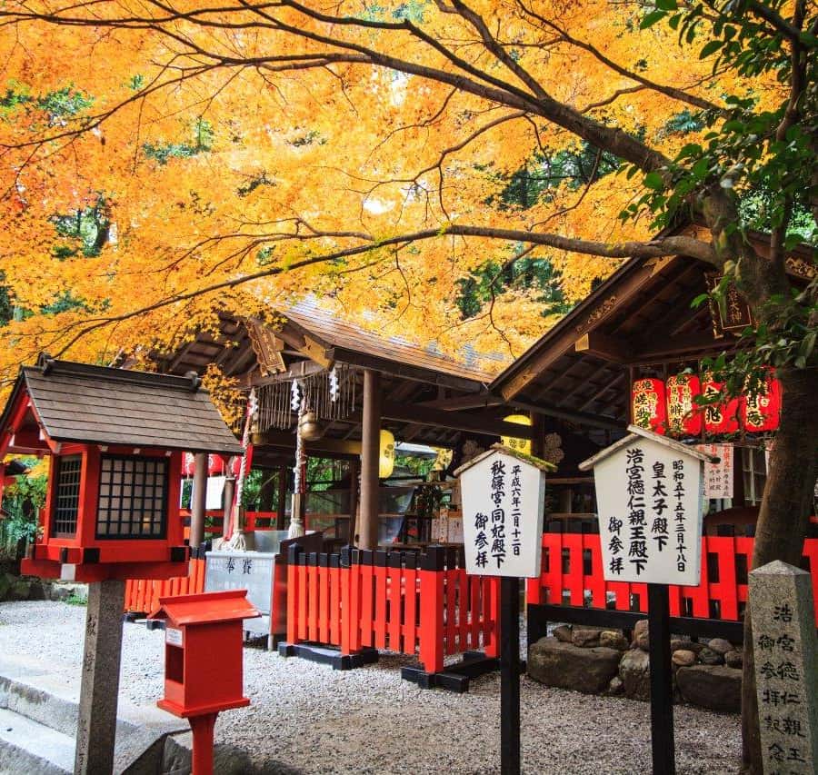 京都・大阪：奈良、伏見稲荷大社、嵐山バスツアー | GetYourGuide