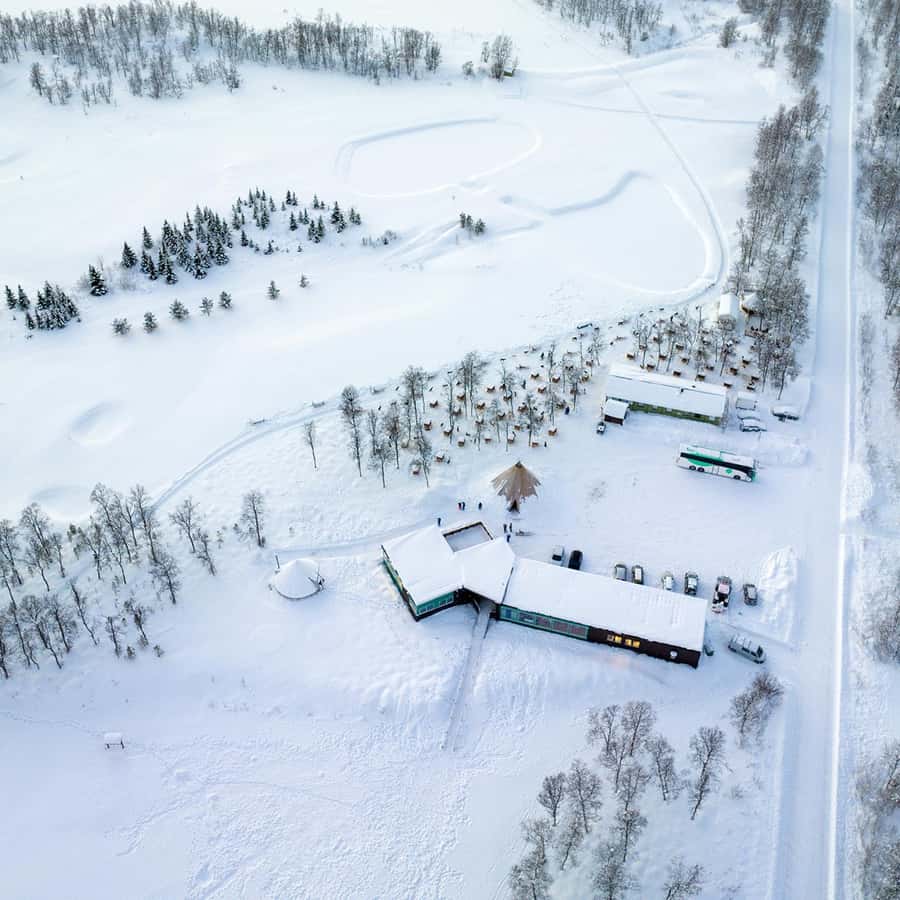 I almost lost my serious face😂😂 #imalion #Namibian🇳🇦 #fyp #foryoupage  #nukhoebutter😊, image size:900x900