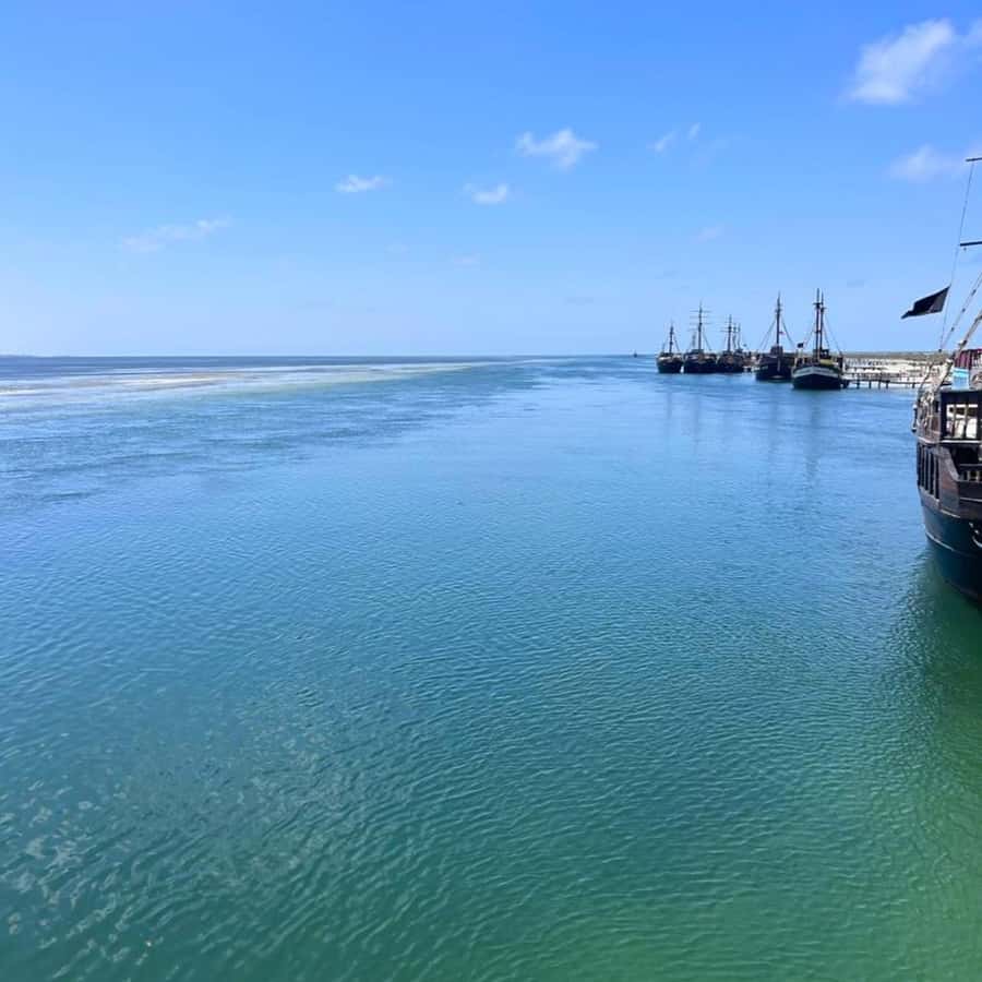 Excursão de mergulho com snorkel para grupos pequenos em Nassau, tartaruga  e porcos 2026 - New Providence Island, image size:900x900