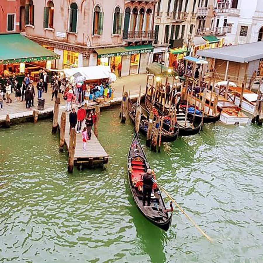 ヴェネツィアの朝の見どころ：サンマルコ広場からカナル・グランデまで