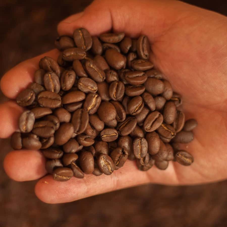 Bogotá: Opplev en tradisjonell kaffeplantasje | GetYourGuide, image size:900x900