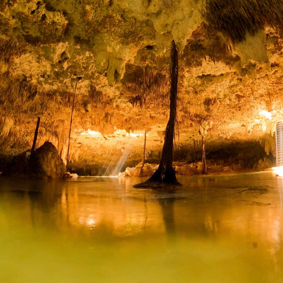 トゥルム：先祖代々の水、洞窟、セノーテ、ジャングル散策と食事をお