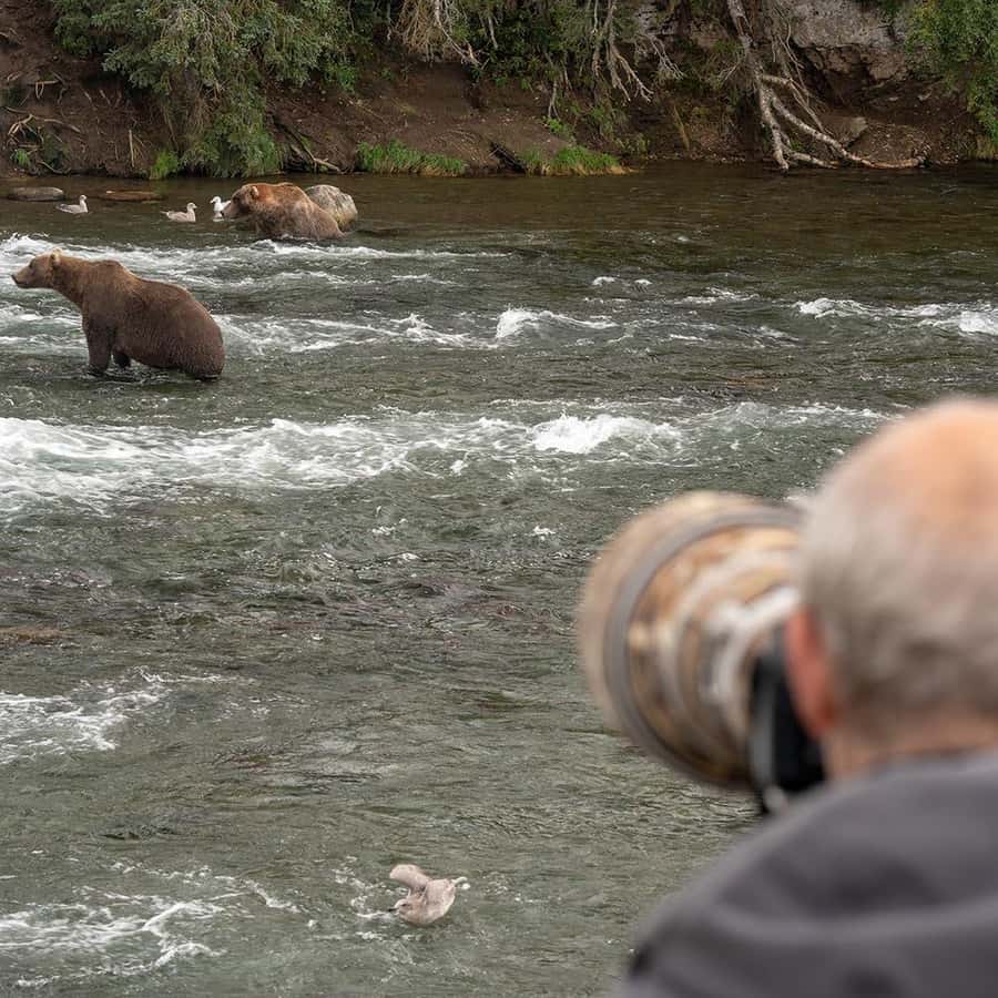 布鲁克斯瀑布：卡特迈国家公园熊观赏之旅（浮翼飞机） | GetYourGuide, image size:900x900